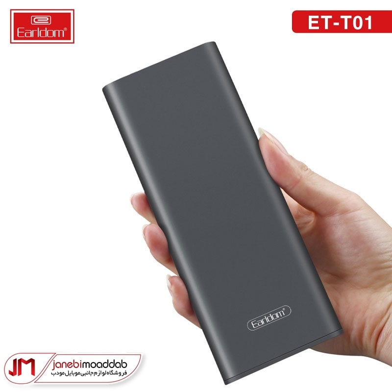 پک پیچ گوشتی ارلدام مدل ec-t01